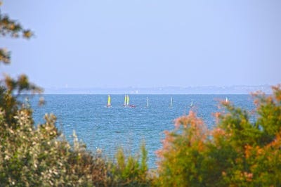 /international/fr/jullouville-upper-normandy-310099412760/
