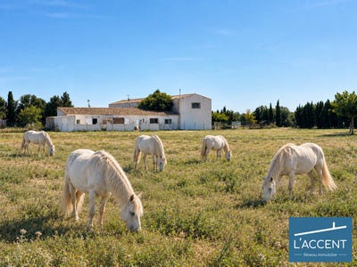 /international/fr/le-cailar-languedoc-roussillon-310120012974/