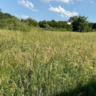 /international/fr/moisdon-la-riviere-pays-de-la-loire-310108404596/