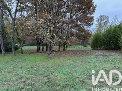 /international/fr/montauban-midi-pyrenees-310104775246/