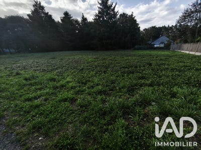 /international/fr/villefranche-sur-cher-centre-val-de-loire-310109145564/
