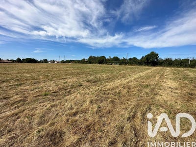 /international/fr/montauban-midi-pyrenees-310107410899/
