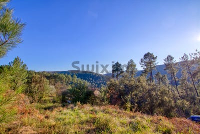 /international/fr/branoux-les-taillades-languedoc-roussillon-120082652001/