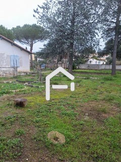 /international/fr/balaruc-les-bains-languedoc-roussillon-310105775343/