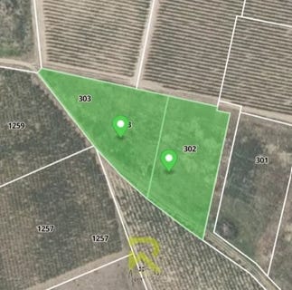 /international/fr/raissac-d-aude-languedoc-roussillon-310106715728/