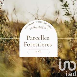 /international/fr/mios-aquitaine-310105057679/