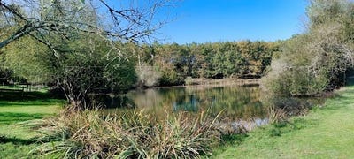 /international/fr/beauronne-aquitaine-310097540850/