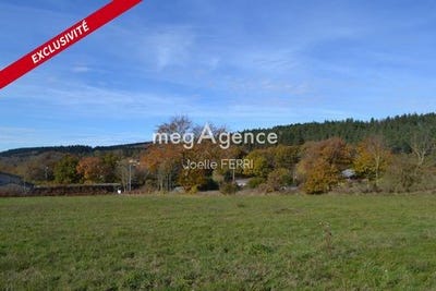 /international/fr/lacombe-languedoc-roussillon-310103371588/