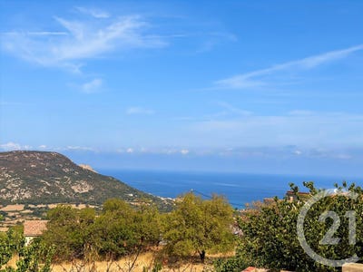 /international/fr/aregno-corsica-310110157632/