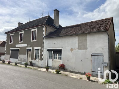 /international/fr/le-pin-la-basse-normandie-310102566460/