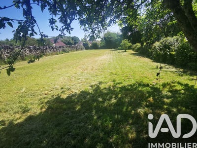 /international/fr/coudrecieux-pays-de-la-loire-310108668860/