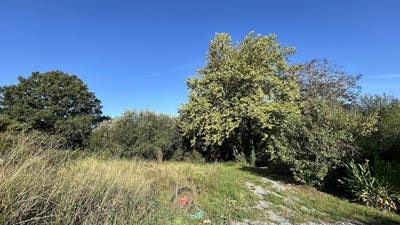 /international/fr/saint-andre-de-seignanx-aquitaine-310102092183/