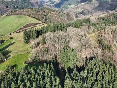 /international/fr/curvalle-midi-pyrenees-310107708864/