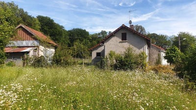 /international/fr/linards-midi-pyrenees-310108418763/