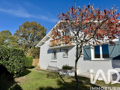 /international/fr/belin-beliet-aquitaine-310103608778/