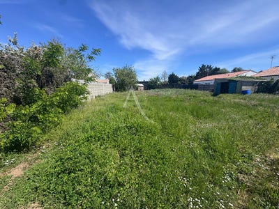 /international/fr/longeville-sur-mer-pays-de-la-loire-310108667597/