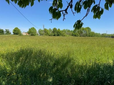 /international/fr/terrasson-lavilledieu-aquitaine-310099090648/