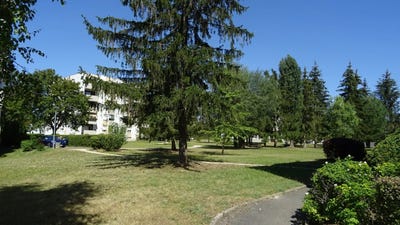 /international/fr/chevigny-saint-sauveur-burgundy-310108436026/