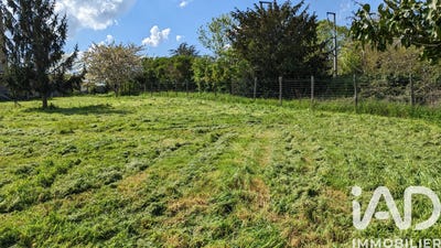 /international/fr/ancenis-pays-de-la-loire-310104591651/
