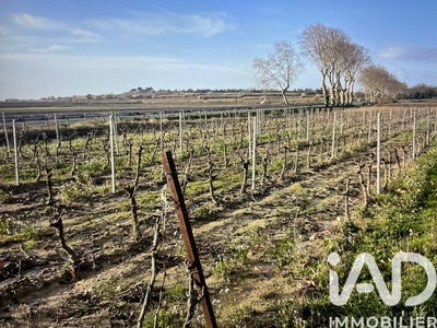 /international/fr/tourbes-languedoc-roussillon-310105716547/