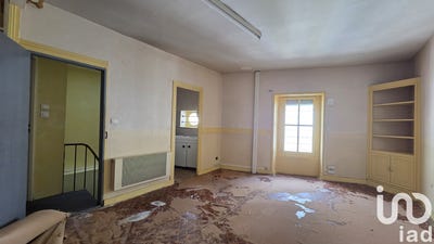 /international/fr/ancenis-pays-de-la-loire-310104299997/