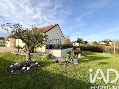 /international/fr/louhans-burgundy-310107372263/