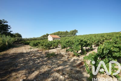 /international/fr/saint-maurice-sur-eygues-rhone-310108242361/