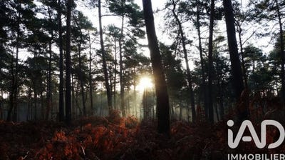 /international/fr/sanguinet-aquitaine-310108245524/