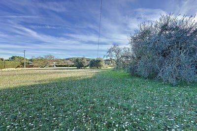 /international/fr/grasse-provence-alpes-cote-d-azur-310100708541/