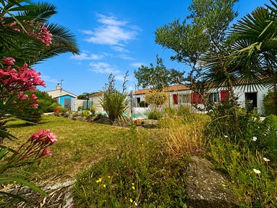 /international/fr/le-fenouiller-pays-de-la-loire-310108777893/