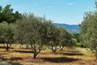 /international/fr/vence-provence-alpes-cote-d-azur-120096367355/