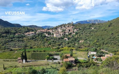 /international/fr/vieussan-languedoc-roussillon-310107566490/