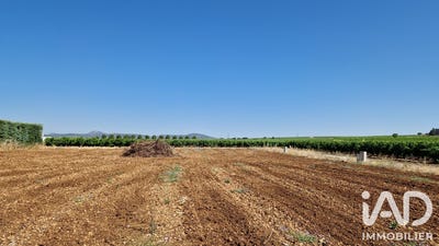 /international/fr/adissan-languedoc-roussillon-310108776160/