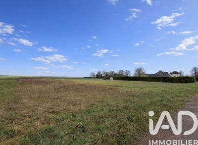 /international/fr/laines-aux-bois-ardennes-310105910089/