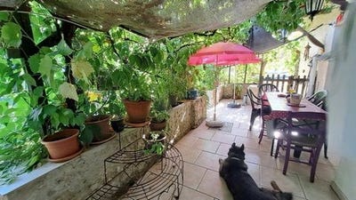 /international/fr/les-pechs-du-vers-midi-pyrenees-310101379761/?lang=en