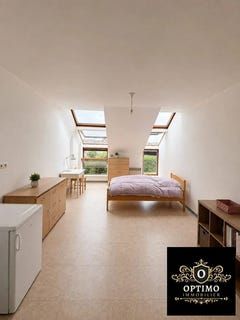 /international/fr/paimpol-brittany-310109967245/