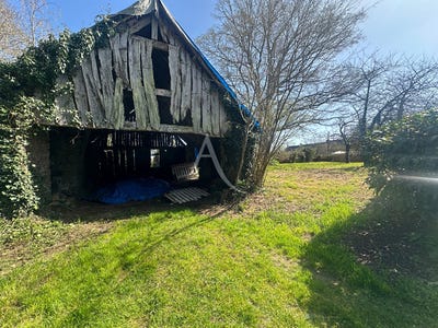 /international/fr/jans-pays-de-la-loire-310104462991/