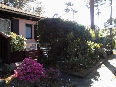 /international/fr/lacanau-ocean-aquitaine-120089701536/
