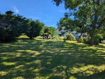 /international/fr/teillet-midi-pyrenees-310108375497/