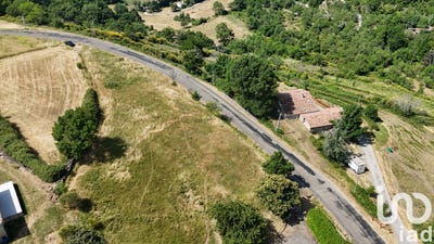 /international/fr/darbres-rhone-310100884410/