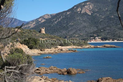 /international/fr/sagone-corsica-310103641965/