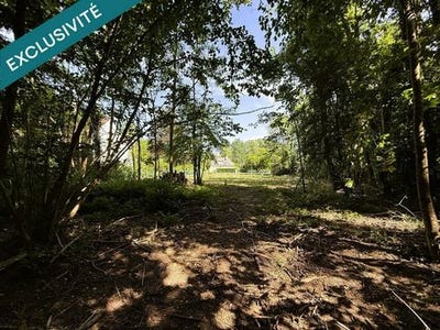 /international/fr/montbazon-centre-val-de-loire-310108405237/
