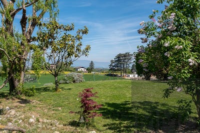 /international/fr/bossey-rhone-310099413003/