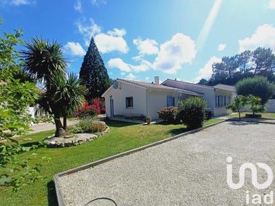 /international/fr/cissac-medoc-aquitaine-310101228881/?lang=zh-tw