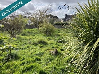 /international/fr/morlaix-brittany-310108187054/