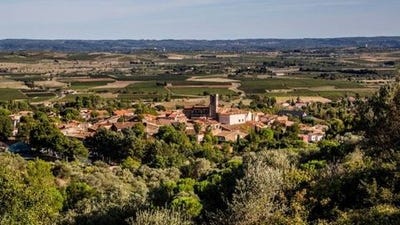 /international/fr/peret-languedoc-roussillon-310101379861/?lang=it