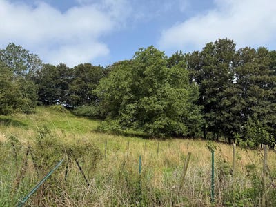 /international/fr/fecamp-upper-normandy-310100360353/?lang=en