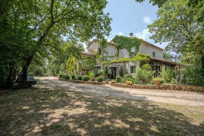 /international/fr/bouquet-languedoc-roussillon-310100546983/