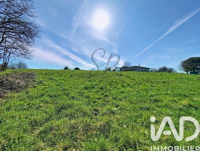 /international/fr/negrepelisse-midi-pyrenees-310105263175/