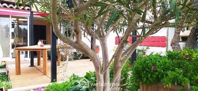 /international/fr/saintes-maries-de-la-mer-provence-alpes-cote-d-azur-310105625338/
